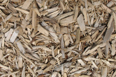 biomass boilers Sandpits