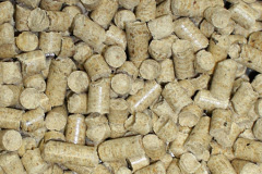 Sandpits biomass boiler costs